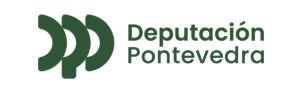 diputación de pontevedra